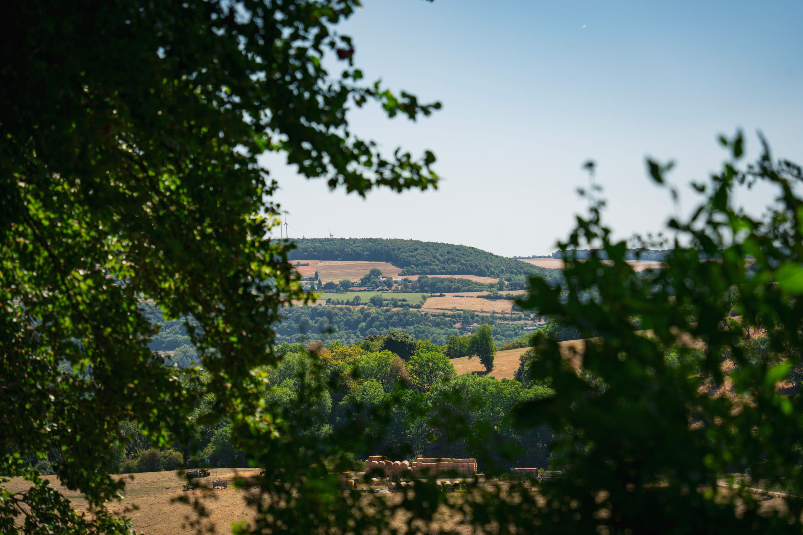 Mullerthal, photo 5 of 15