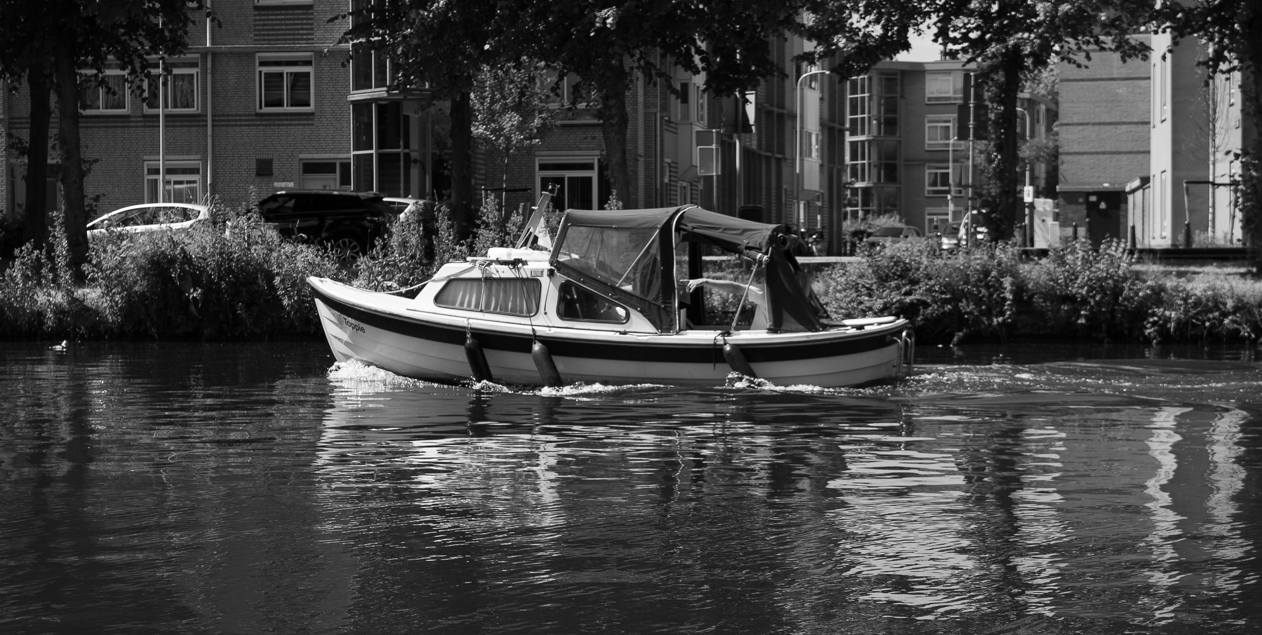 Selected, photo 10 of 15