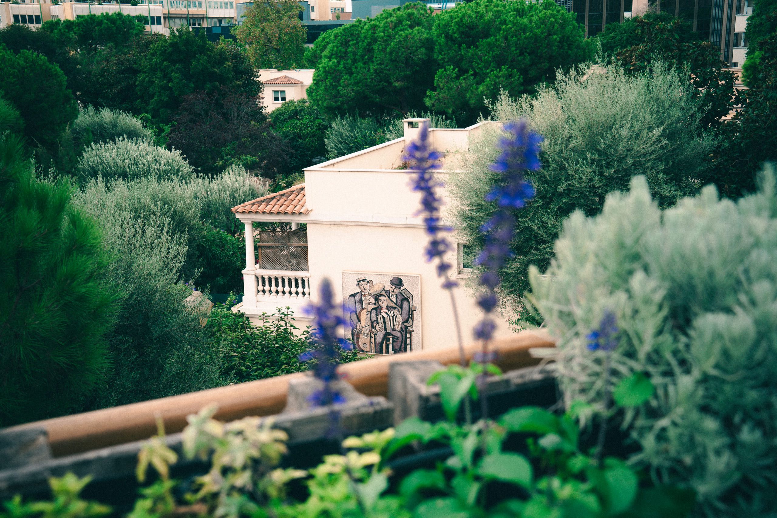 Automne sur la Côte d'Azur, photo 10 of 36